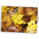 Autumn Leaves card